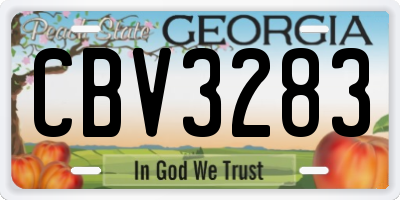 GA license plate CBV3283