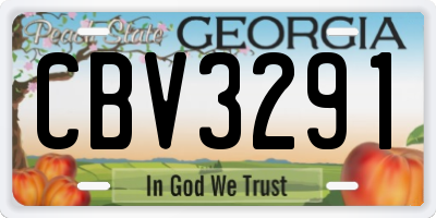 GA license plate CBV3291