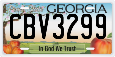 GA license plate CBV3299