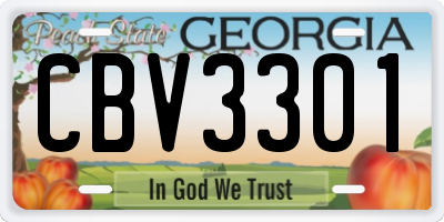 GA license plate CBV3301
