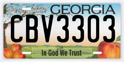 GA license plate CBV3303
