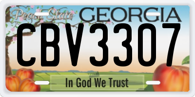GA license plate CBV3307