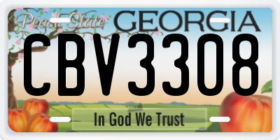 GA license plate CBV3308