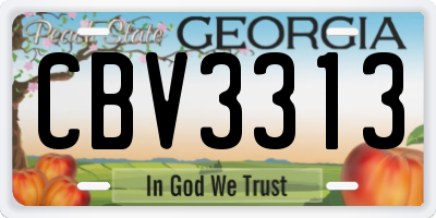 GA license plate CBV3313