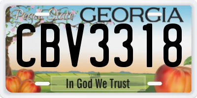 GA license plate CBV3318