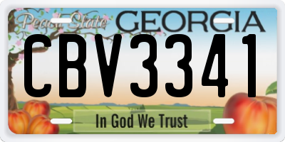 GA license plate CBV3341