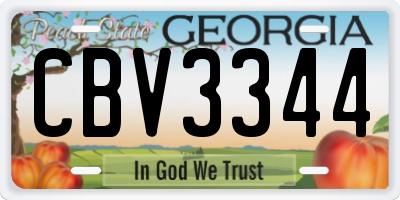 GA license plate CBV3344