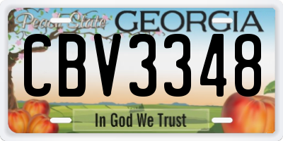 GA license plate CBV3348