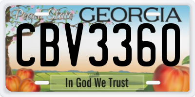 GA license plate CBV3360