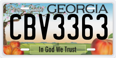 GA license plate CBV3363