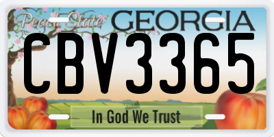 GA license plate CBV3365