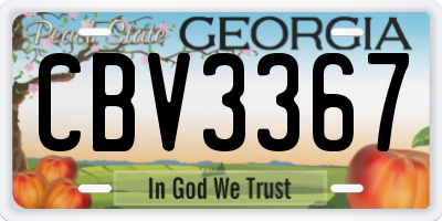 GA license plate CBV3367