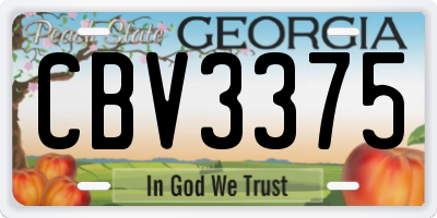 GA license plate CBV3375