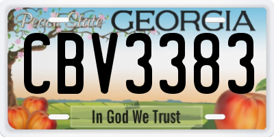 GA license plate CBV3383