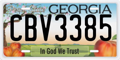 GA license plate CBV3385
