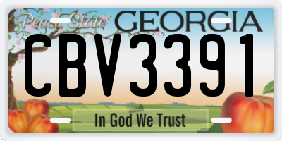 GA license plate CBV3391