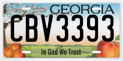 GA license plate CBV3393