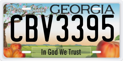 GA license plate CBV3395