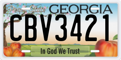 GA license plate CBV3421
