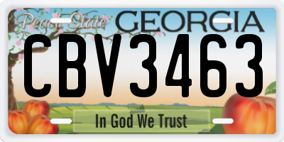 GA license plate CBV3463