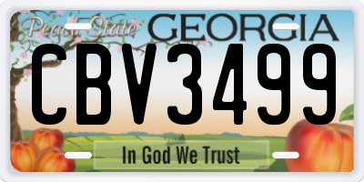 GA license plate CBV3499