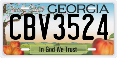GA license plate CBV3524