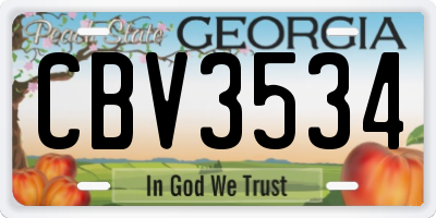 GA license plate CBV3534