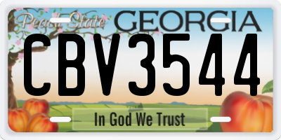 GA license plate CBV3544