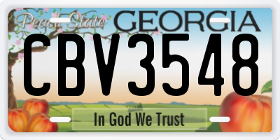 GA license plate CBV3548