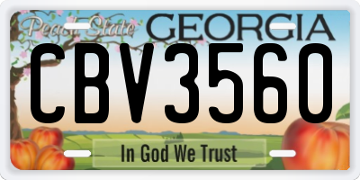 GA license plate CBV3560