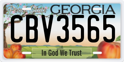 GA license plate CBV3565