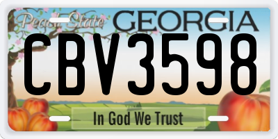 GA license plate CBV3598