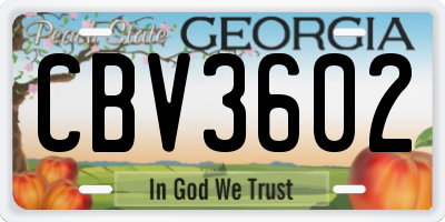 GA license plate CBV3602
