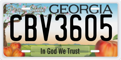 GA license plate CBV3605