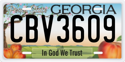 GA license plate CBV3609