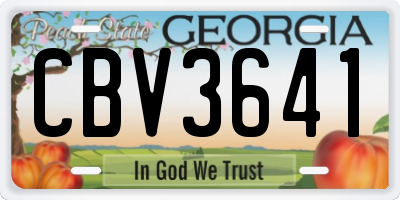 GA license plate CBV3641