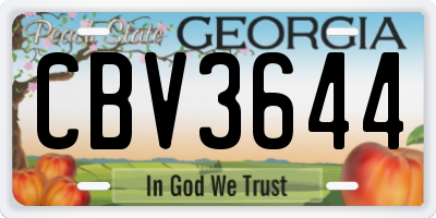 GA license plate CBV3644