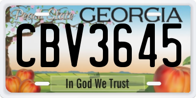 GA license plate CBV3645