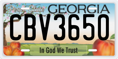 GA license plate CBV3650