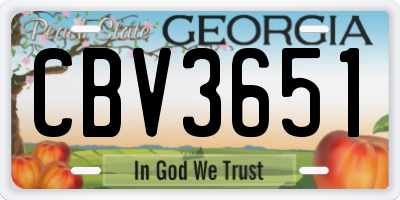 GA license plate CBV3651