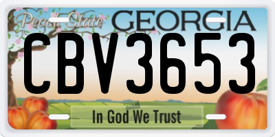 GA license plate CBV3653