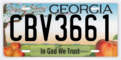 GA license plate CBV3661
