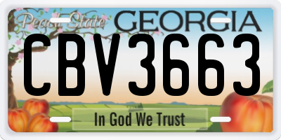 GA license plate CBV3663