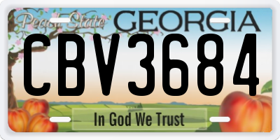 GA license plate CBV3684