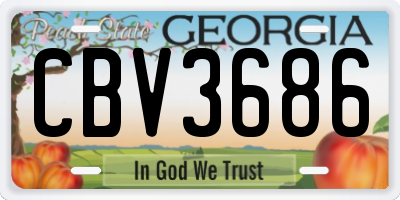 GA license plate CBV3686