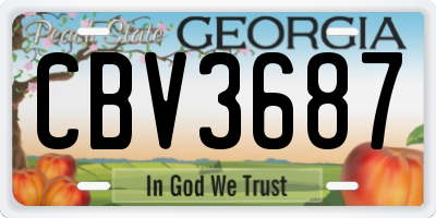 GA license plate CBV3687