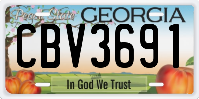 GA license plate CBV3691