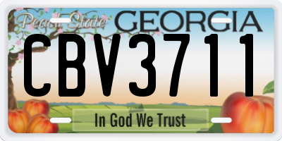 GA license plate CBV3711