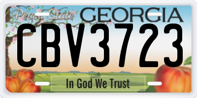 GA license plate CBV3723