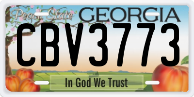 GA license plate CBV3773